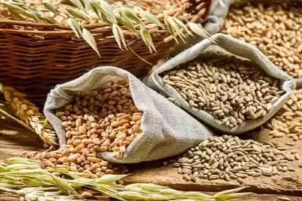 Foodgrain output set to scale new peak in 2025 as farm sector eyes 4% growth – Times of India