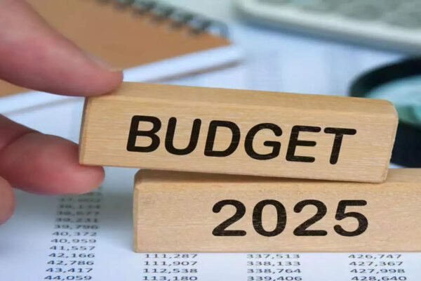 Budget: CII suggests seven-point agenda for employment generation – Times of India