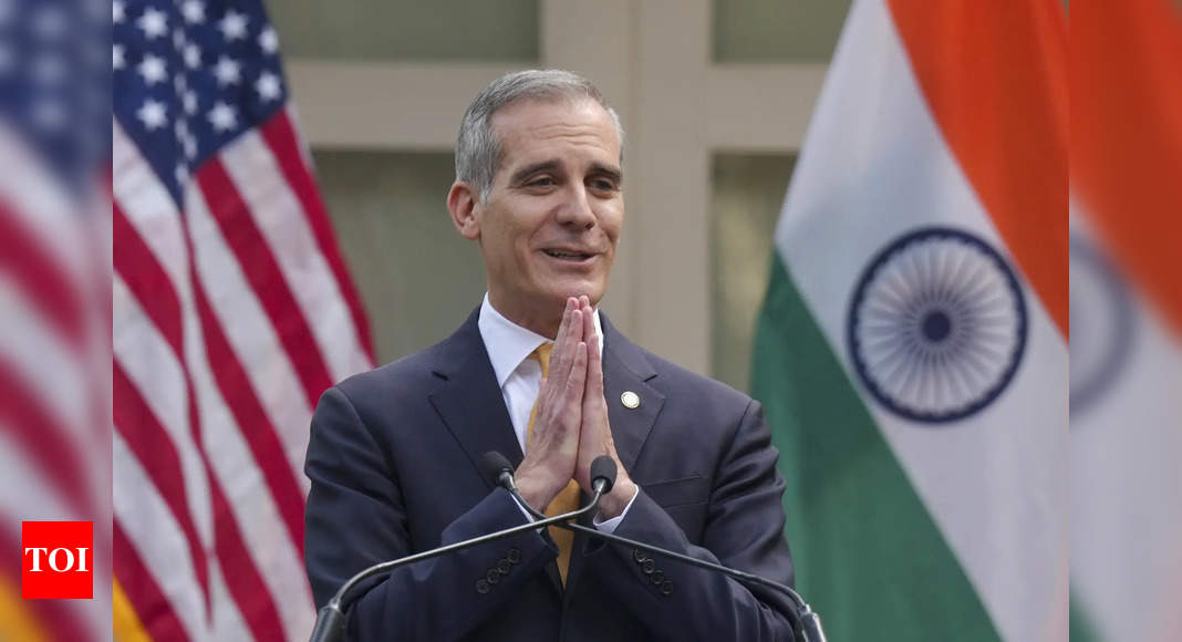 India must cut tariffs to stay competitive: US ambassador – The Times of India