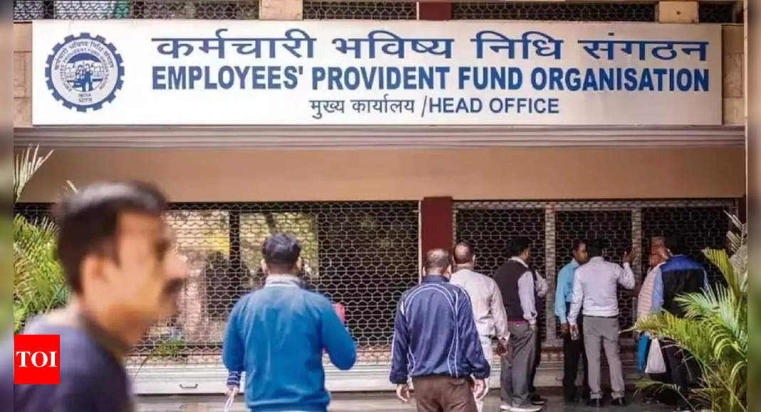 More than 14 lakh net members added to EPFO during November 2024 – The Times of India