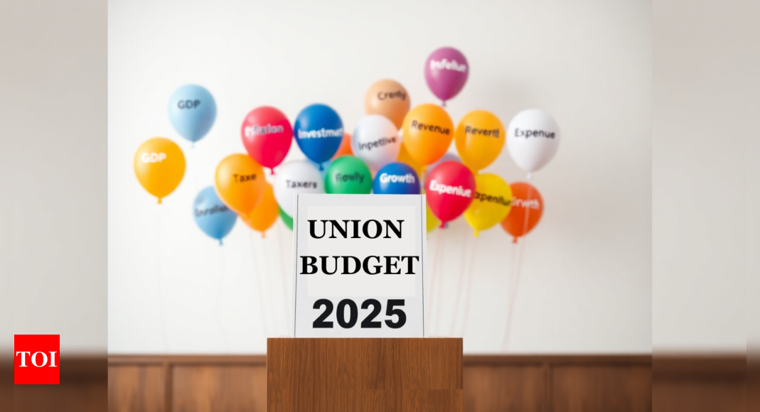 Personal tax reforms, raised exemptions and more expected in 2025 budget: EY – Times of India