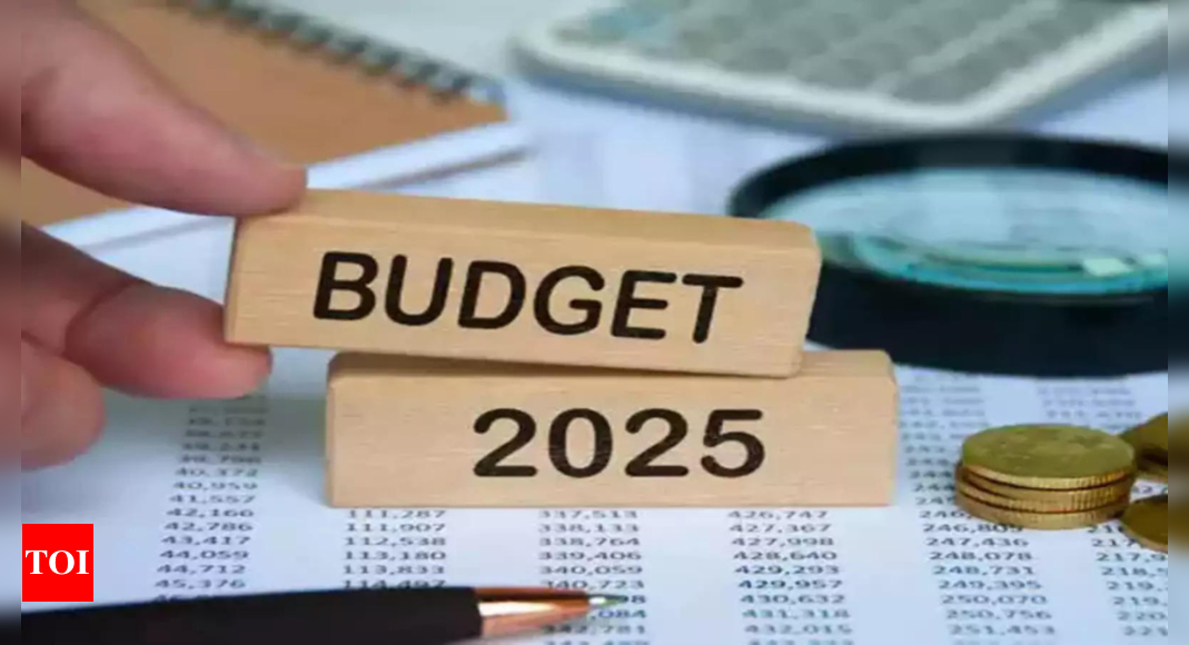 Budget signals slowing fiscal consolidation, says Moody’s – The Times of India