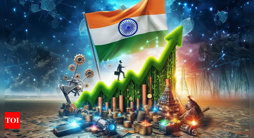 Q3 FY25 GDP grows at 6.2%; India sees ‘highest growth in 12 years’ in FY24 – top 10 data points to know – The Times of India