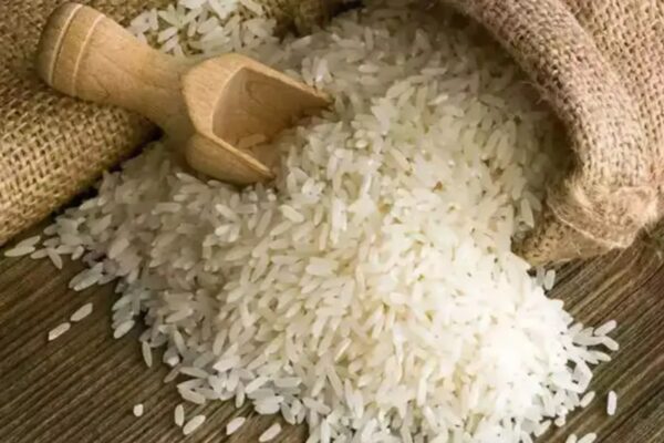 India lifts export ban on broken rice – The Times of India