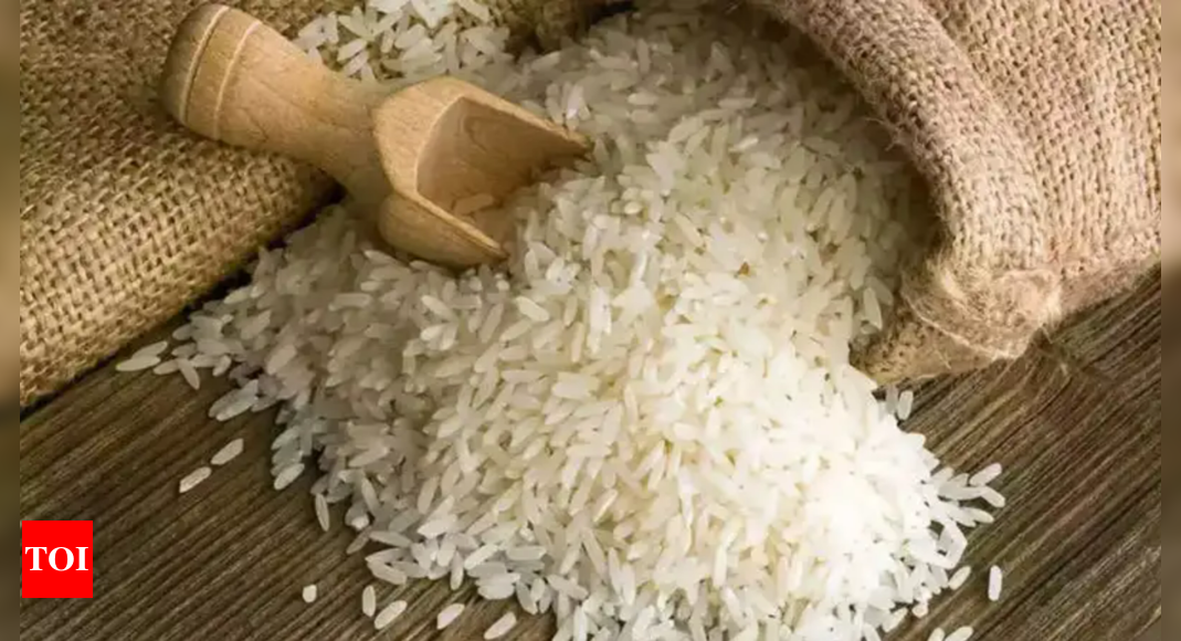 India lifts export ban on broken rice – The Times of India