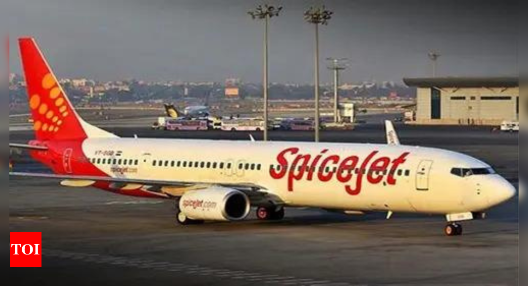 SpiceJet’s Singh to infuse Rs 294 crore, up stake to 34% – The Times of India