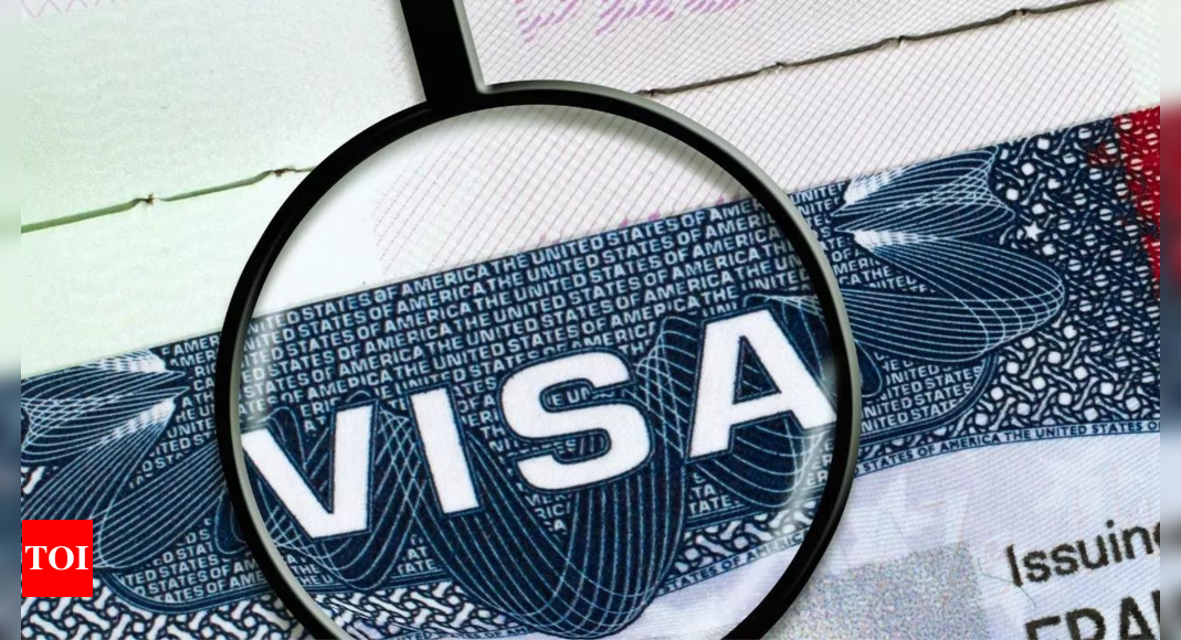 Tourist visa applications for summer 2025 travel surge by 68 % – The Times of India